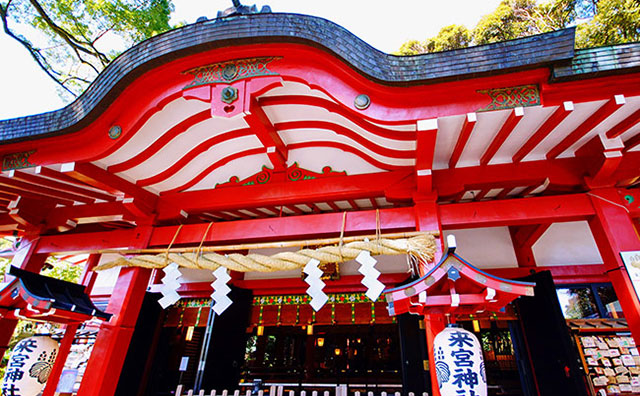 來宮神社　本殿のイメージ