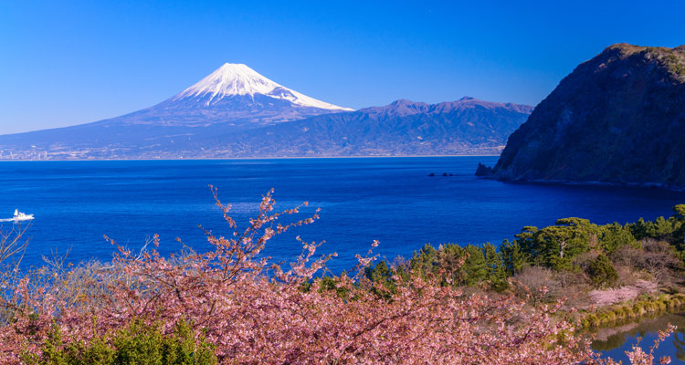 豊富な自然が魅力的な伊豆！4つのエリアを知って伊豆旅行を満喫しよう！