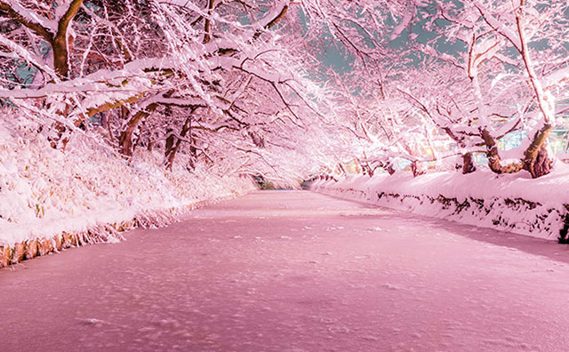 絶景に温泉、グルメも充実！冬の東北はこんなに魅力的！の記事のイメージ