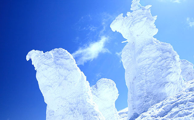 蔵王　樹氷のイメージ