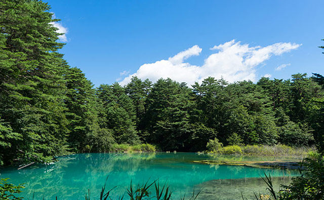 夏の東北も魅力いっぱい！ 東北旅行におすすめのイベント・スポット12選