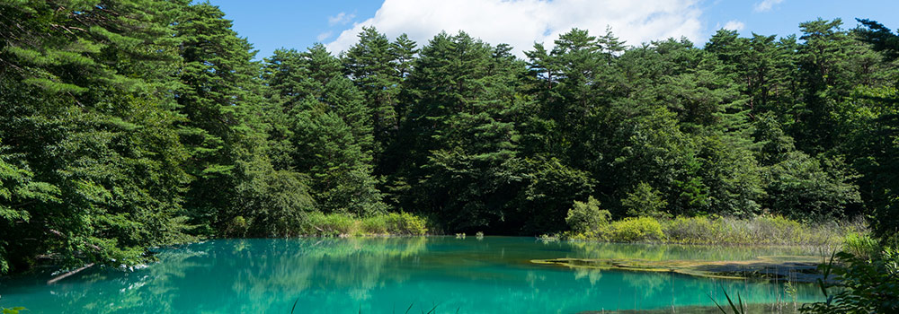 夏の東北も魅力いっぱい！東北旅行におすすめのイベント・スポット12選