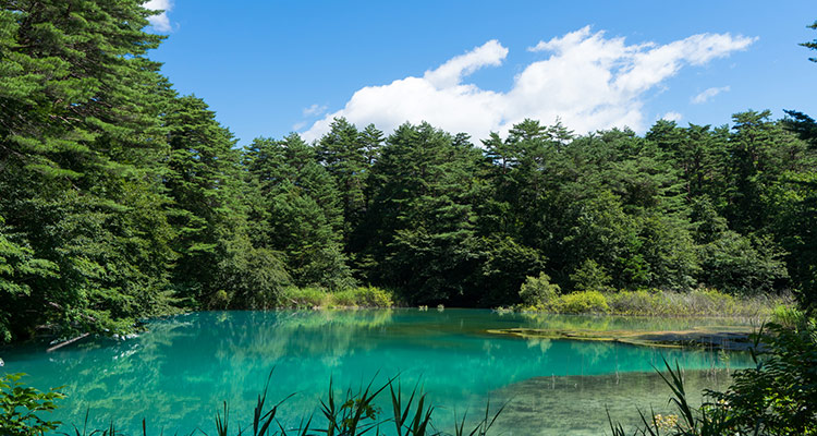 夏の東北も魅力いっぱい！東北旅行におすすめのイベント・スポット12選