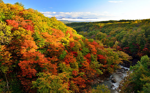 八幡平の紅葉