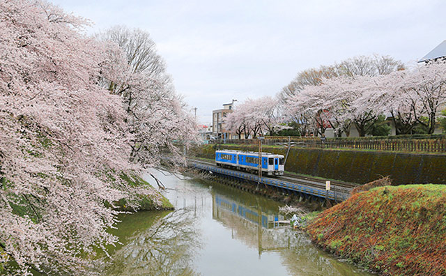 霞城公園