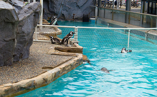 のとじま水族館のイメージ