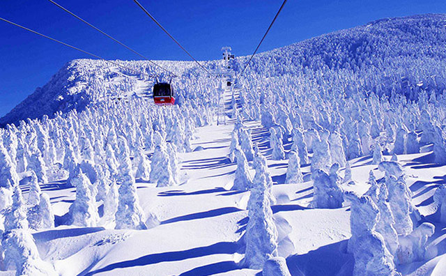 蔵王温泉スキー場 樹氷