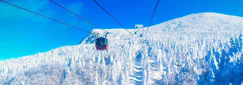 【最新】東日本おすすめのスキー場22選！各エリアの魅力をくわしく解説のイメージ