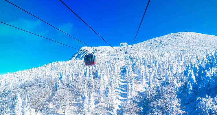 冬の旅行ならではの楽しみ方 東日本おすすめのスキー場15選 びゅうトラベル Jr東日本