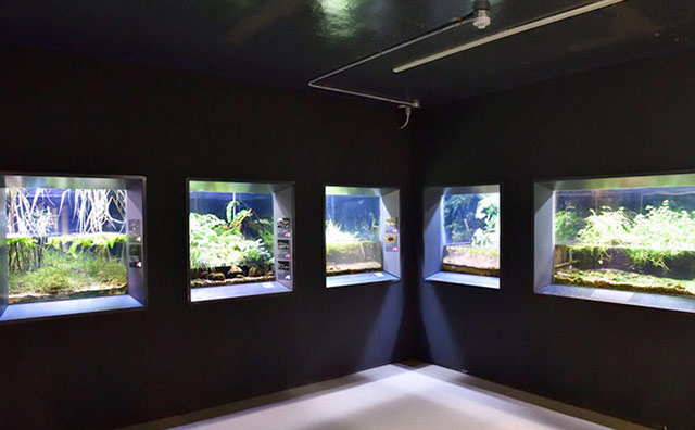 アクアマリンいなわしろカワセミ水族館のイメージ