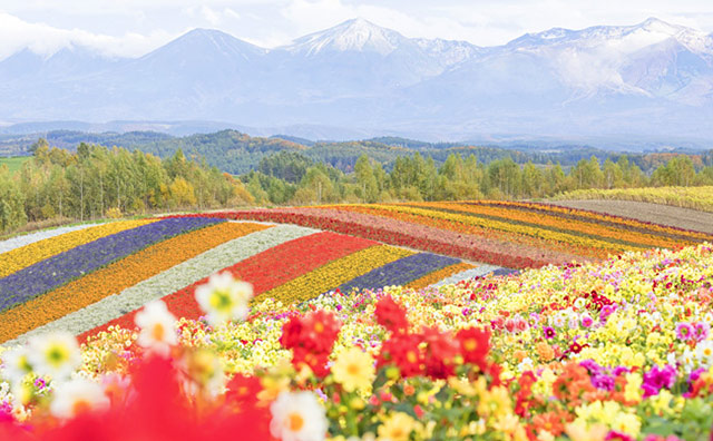 旅の目的にもおすすめ！必見の絶景スポットをジャンル別にご紹介！