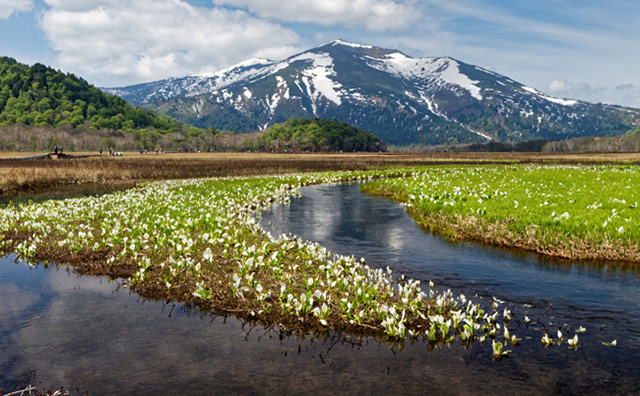 尾瀬ヶ原