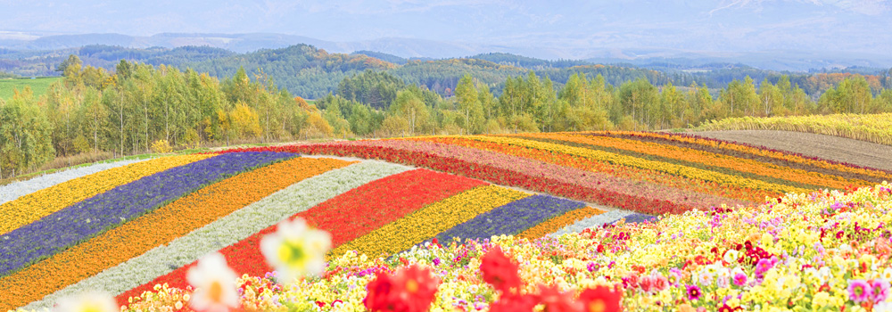 旅の目的にもおすすめ！必見の絶景スポットをジャンル別にご紹介！