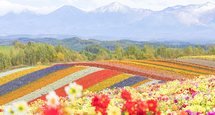 旅の目的にもおすすめ！必見の絶景スポットをジャンル別にご紹介！