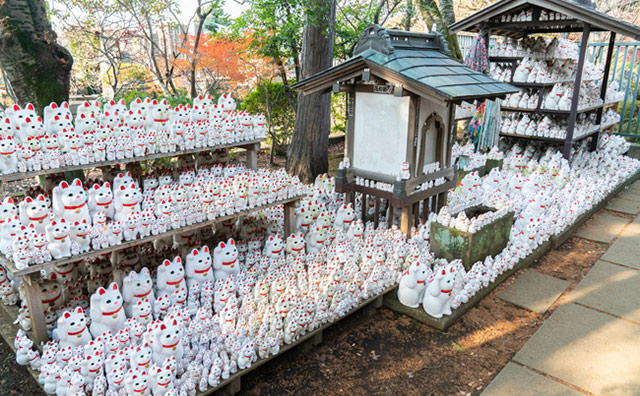 豪徳寺　招き猫