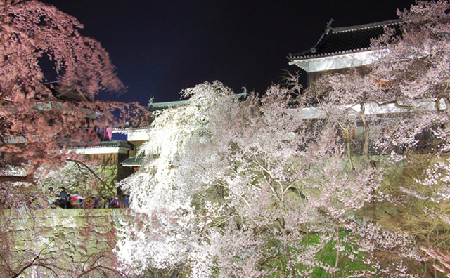 上田城跡公園のイメージ