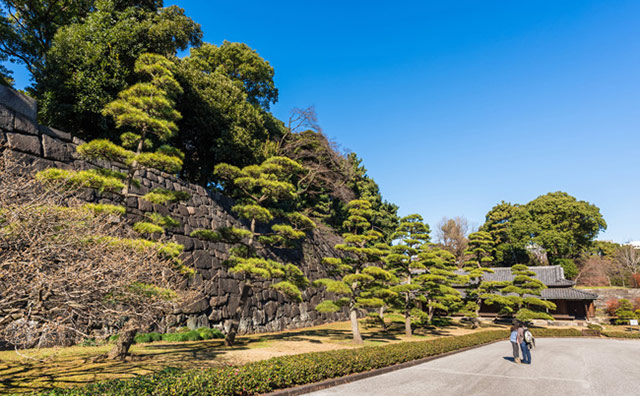 皇居東御苑　城壁