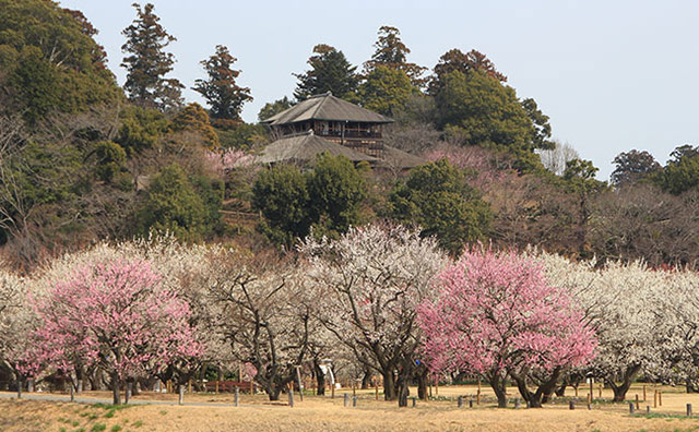 水戸偕楽園