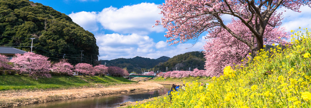 2019年、春におすすめの国内旅行！ 五感いっぱいに春を感じる旅へ！