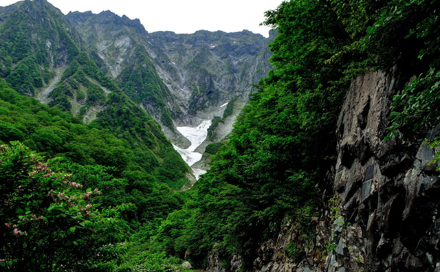 谷川岳　新緑の一ノ倉沢