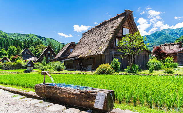 夏の白川郷のイメージ