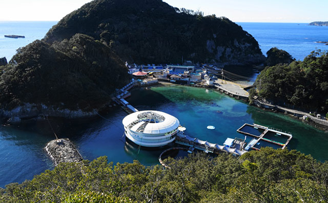 下田海中水族館