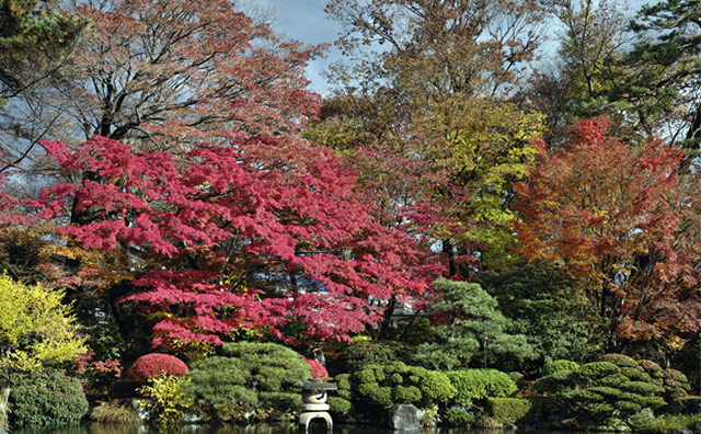 もみじ公園