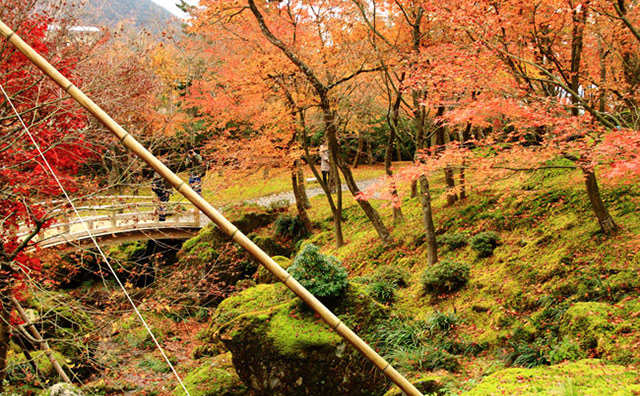 箱根美術館