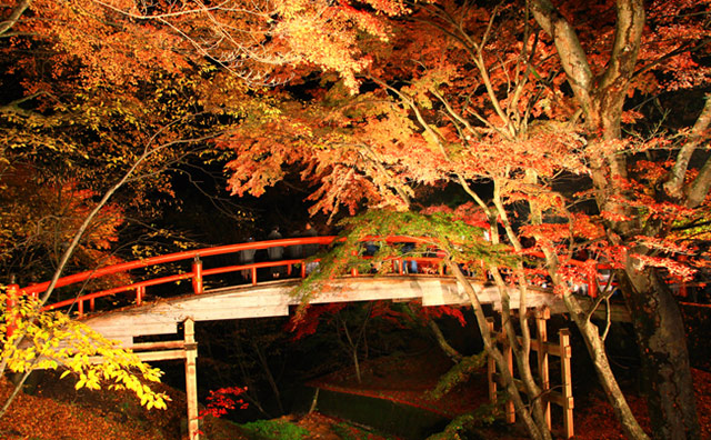 伊香保温泉　河鹿橋