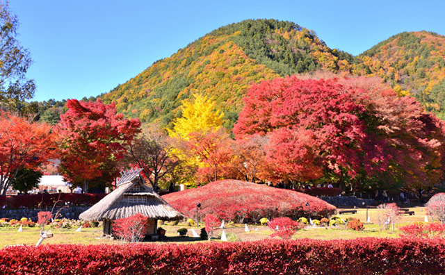 秋は紅葉の季節 一度は訪れたい東日本でおすすめの紅葉スポット選 びゅうトラベル Jr東日本