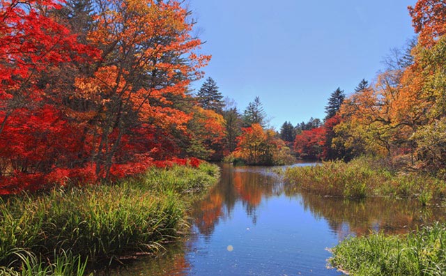 雲場池の紅葉のイメージ