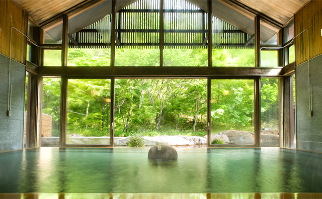 星野温泉 トンボの湯