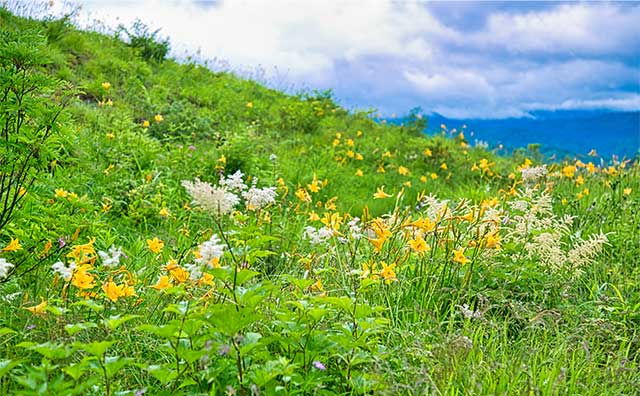 白山国立公園のイメージ