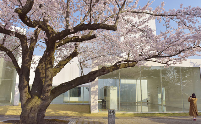 十和田市現代美術館のイメージ