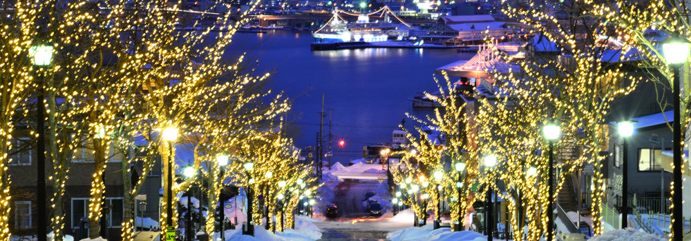 東京から4時間！北海道新幹線で冬の函館へ！ 夜景に温泉に海鮮に、北海道の冬を満喫！の記事のイメージ
