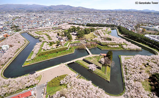 五稜郭の桜のイメージ