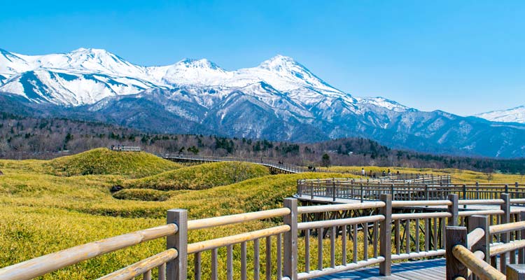4つのエリアに分かれる北海道。 道北・道東エリアの魅力と おすすめの観光スポットをご紹介！の記事のイメージ