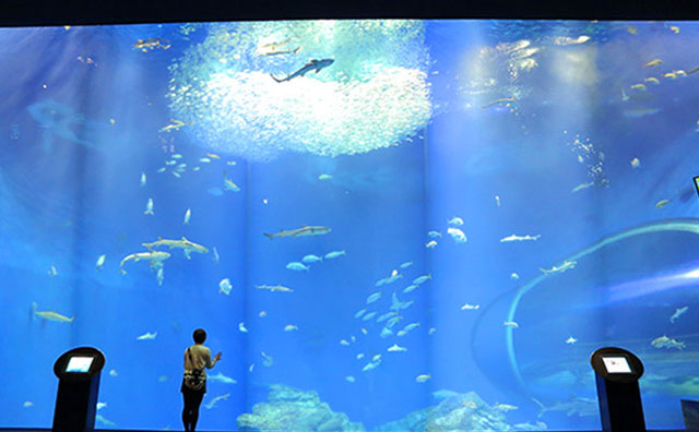 アクアワールド茨城県大洗水族館のイメージ