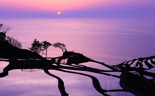 白米千枚田の夕景のイメージ