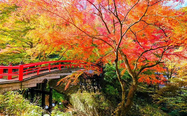 関東で紅葉を満喫！列車で日帰りもできる名所＆穴場スポット13選