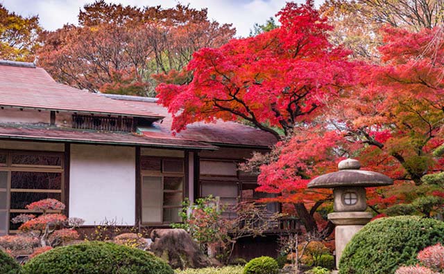 紅葉の季節到来！列車でも行ける関東の穴場スポット