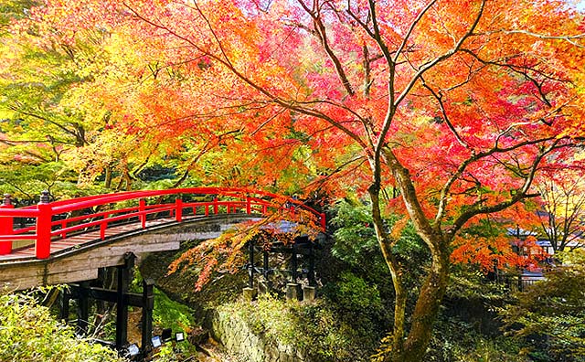 河鹿橋の紅葉のイメージ