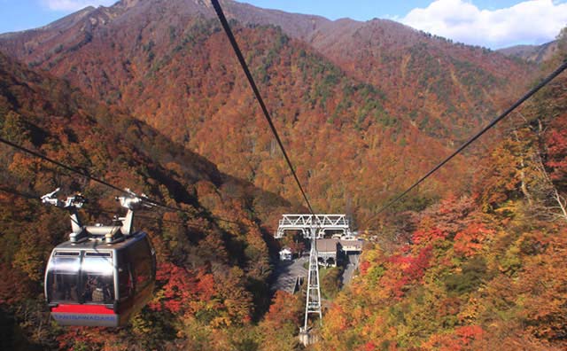 ロープウェイからの絶景のイメージ