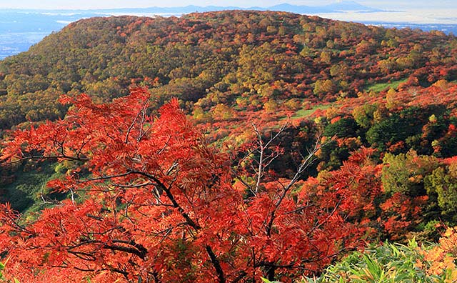 筑波山の紅葉と眼下に広がる関東平野のイメージ
