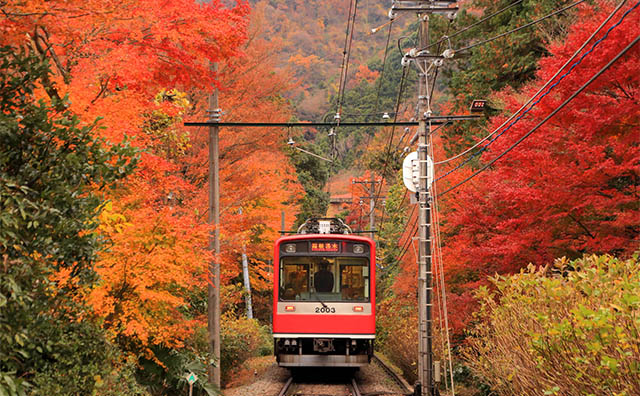 箱根登山鉄道