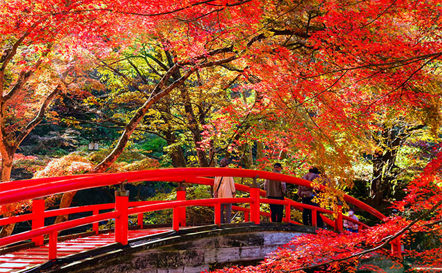 伊香保温泉「河鹿橋」