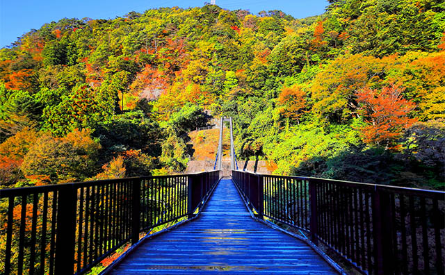 鬼怒川温泉「鬼怒楯岩大吊橋」