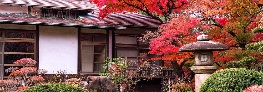 紅葉の季節到来！列車でも行ける関東の穴場スポットの記事のイメージ