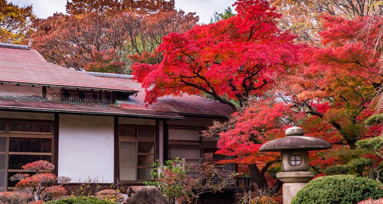 紅葉の季節到来！列車でも行ける関東の穴場スポットの記事のイメージ