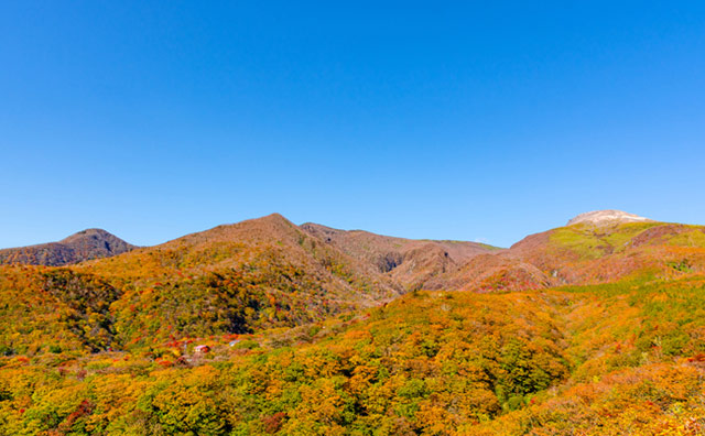 【関東】紅葉はいつが見ごろ？紅葉人気スポットと例年の紅葉シーズン
のイメージ